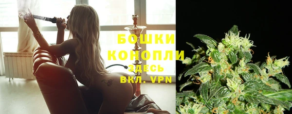 дмт Богородицк