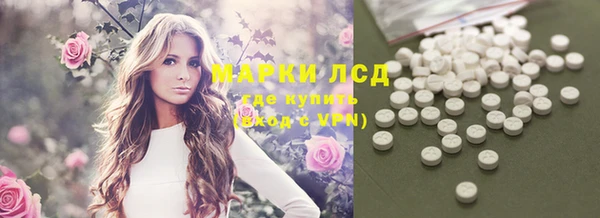 мескалин Богданович