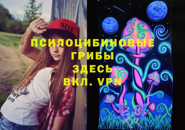 бошки Беломорск