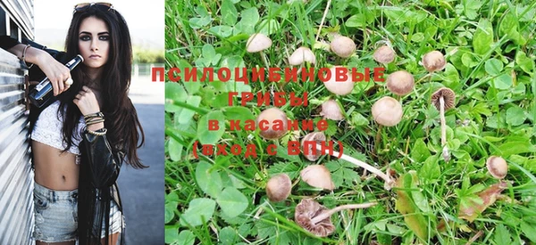 мескалин Богданович
