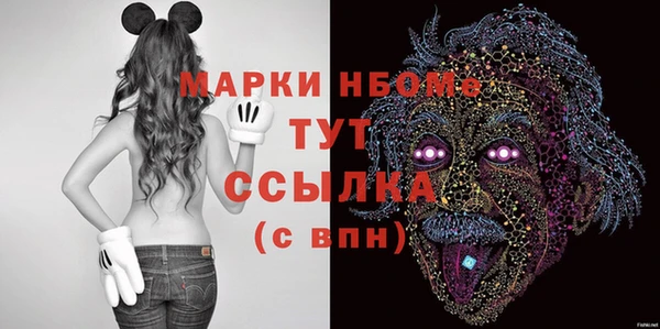 дмт Богородицк