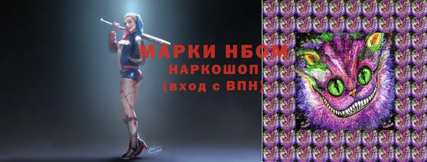 дмт Богородицк