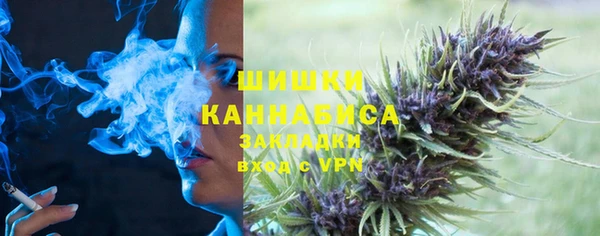 дмт Богородицк