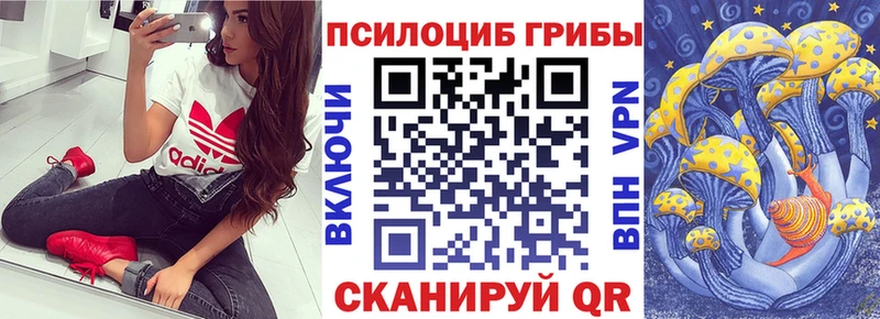 Галлюциногенные грибы мухоморы  где продают наркотики  дарк нет телеграм  Малая Вишера 