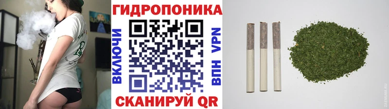 мориарти какой сайт  цены наркотик  mega вход  Малая Вишера  Каннабис индика 